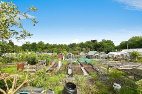 Rear view of the allotment