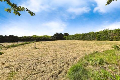 Field