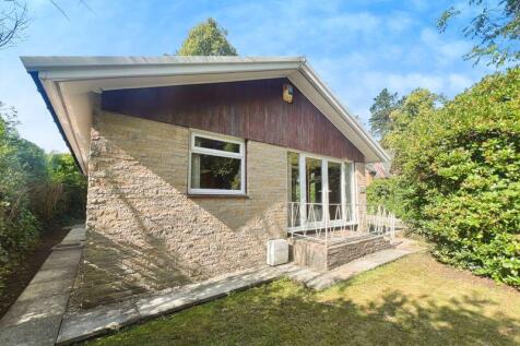 Rear Elevation