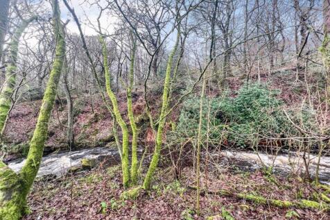 Brook