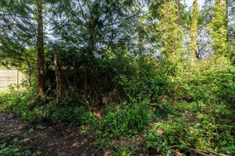 Woodland