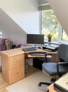 Study Area