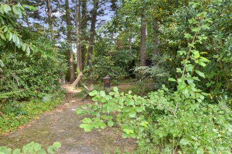 Wooded Area