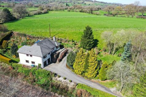 DJI_0999.jpg