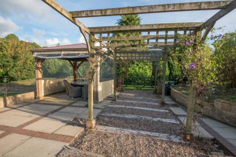 pergola.jpg