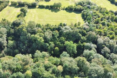 WOODLAND