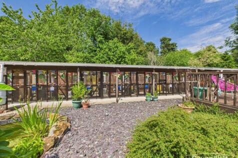 CATTERY 13 ROOMS