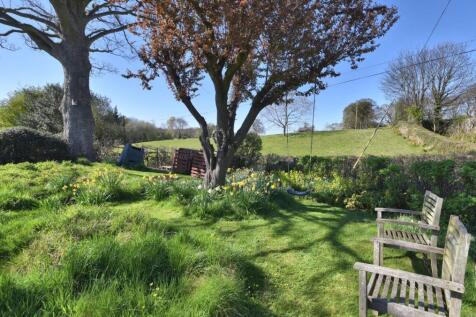 front garden 2.jpg