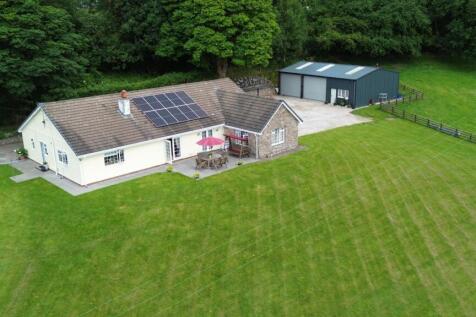 DJI_0019.JPG