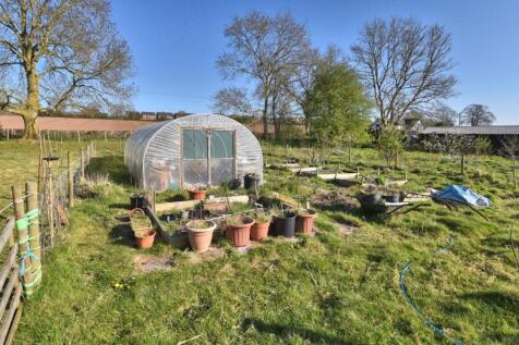 PADDOCK AND KITCHEN GARDEN