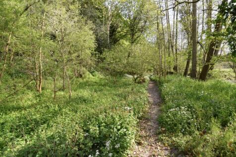 WOODLAND GARDEN