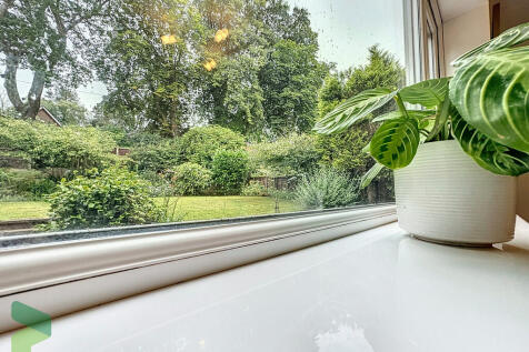 Window view