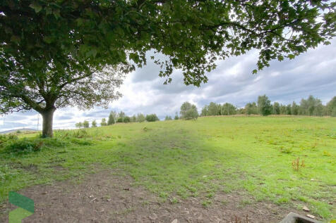 Field