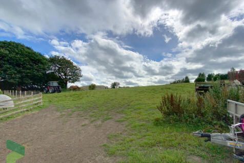 Field