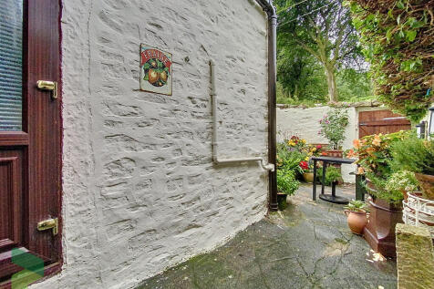 Rear Yard