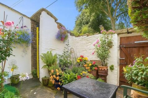 Rear Yard