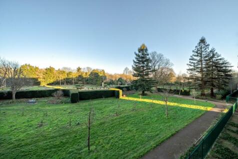Communal Garden