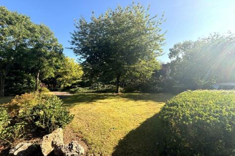 Grounds_1.jpeg