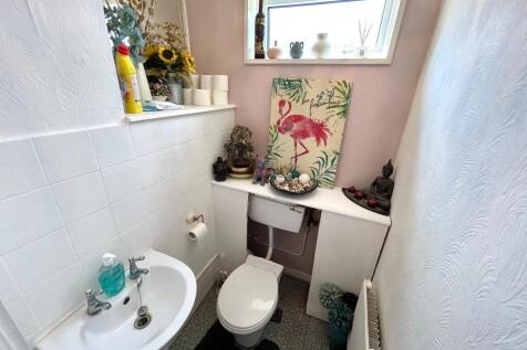 Picture 7