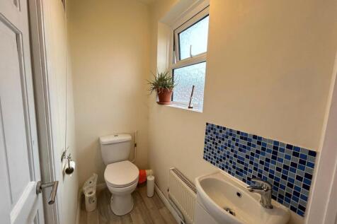 Picture 14