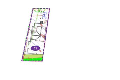 Plot C1