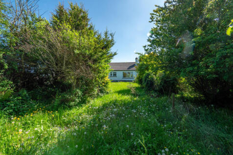 P1042467