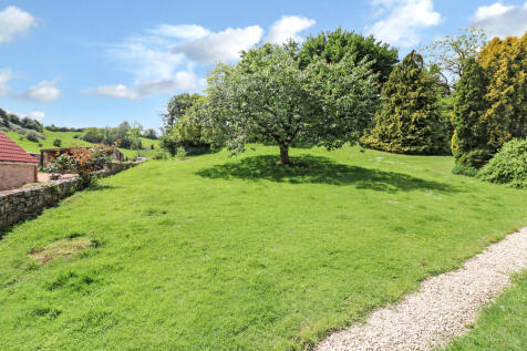 Shared Garden