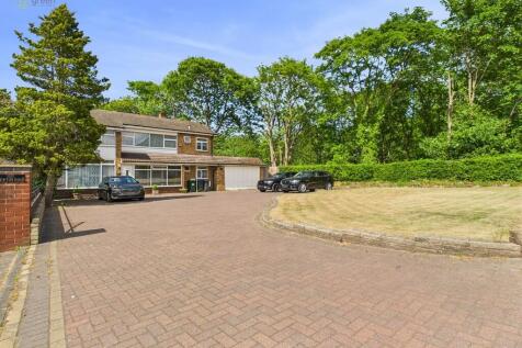 Property Image 39
