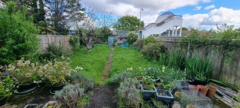 Garden.jpg