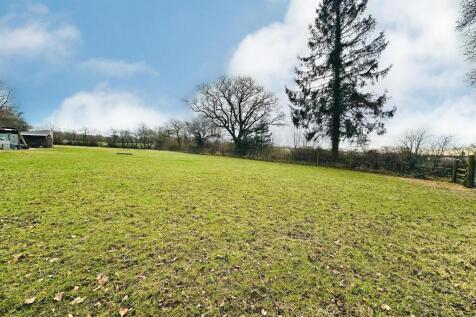 Field