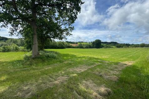 11 Acre Land