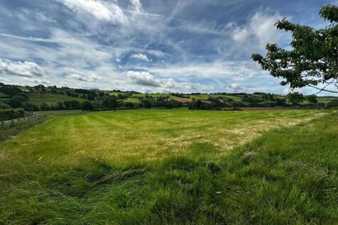 11 Acre Land