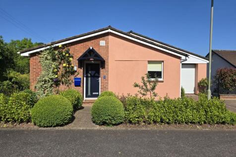 Front 1.jpg