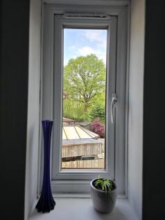 View out .jpg
