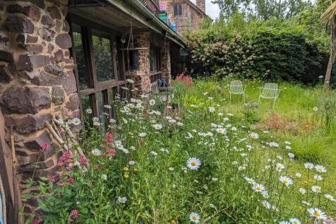 front garden.jpg