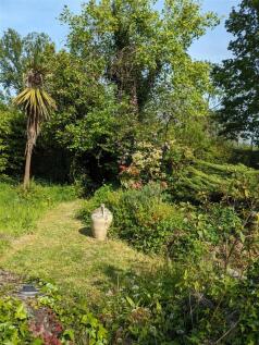 front garden 2.jpg
