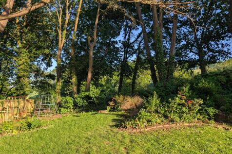 Garden 2.jpg