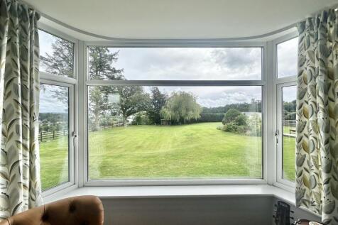 Lounge Window