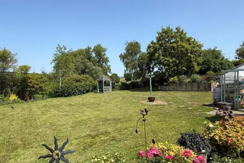 IMG_9551.jpeg