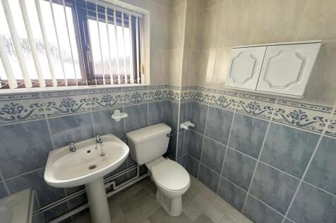 WhatsApp Image 2024-12-13 at 1.27.14 PM (11).jpeg