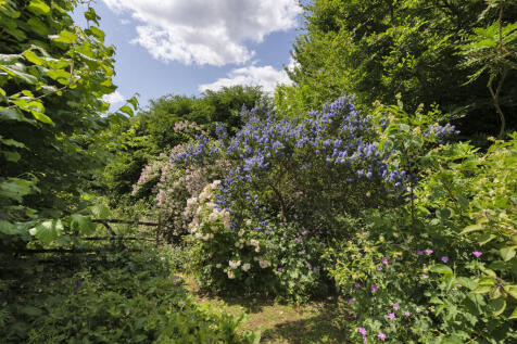 Photo 26