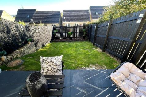 garden 2.jpg