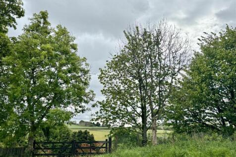image00003.jpeg