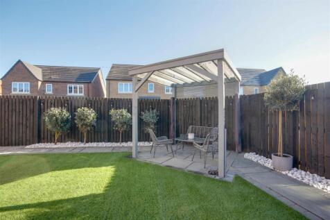 Patio &amp; Pergola