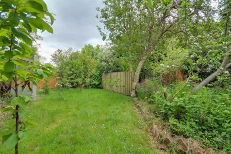 Shed/Greenhouse/Vegetable Garden Area