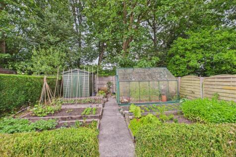 Vegetable Patch