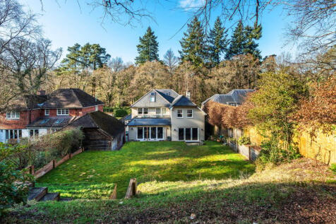 Property Image 42