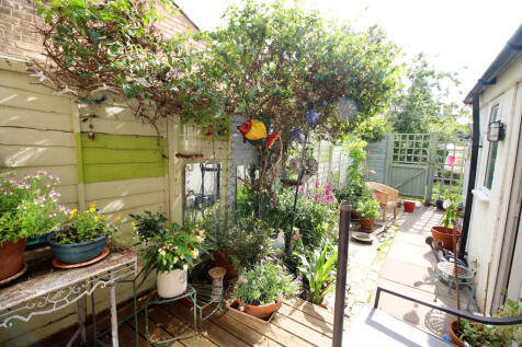 Rear courtyard garden