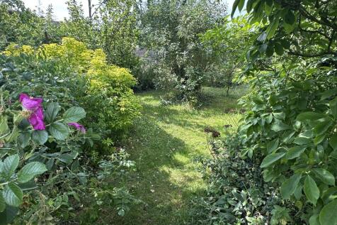 Garden 2.JPG
