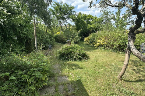 Garden 1.JPG